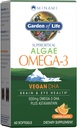 Κήπος της ζωής Minami Algae Omega 3 Vegan DHA για τον εγκέφαλο και την υγεία των ματιών - Πορτοκαλί Γεύση, 500mg φυτό με βάση DHA Omega-3 Vegan Algae Oil Plus Ασταξανθίνη, καμία επίγευση, 60 Easy-to-Swallow Mini Softgels