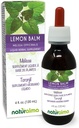 Naturalma Lemon Balm (Melissa officinalis) Φύλλο Χωρίς Αλκοόλ Βάμμα - 4 fl oz Liquid Extract in Drops - Βότανο συμπλήρωμα - Vegan