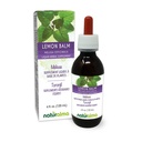 Naturalma Lemon Balm (Melissa officinalis) Leaf Alcohol-Free Tincture - 4 fl oz Liquid Extract in Drops - Herbal Supplement - Vegan