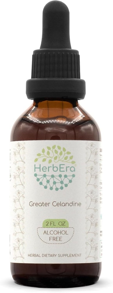 HerbEra Greater Celandine B60 Herbal Extract Βάμμα, Συμπυκνωμένες Υγρές σταγόνες Φυσικό Μεγαλύτερο Κελαντίνη (Chelidonium Majus) Αποξηραμένο φυτό (2 oz)