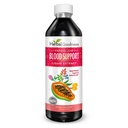 Papaya Leaf Blood Support Liquid - 15X Strength - Papaya Leaf Extract - Υγιή Αιμοπετάλια, Καθαρισμός Αίματος, Διήθηση, Papaya Enzyme -12oz Liquid - Φυτική Καλοσύνη (1 bttl)