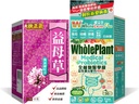 NOTO Vital-Qi Yimucao Motherwort Herb Beverage Supplement + WholeLovePlus Probiotics for Women & Men - Daily Probiotic Set