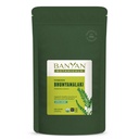 Banyan Botanicals Bhumyamalaki Powder – Βιολογικό συμπλήρωμα ηπατικής υγείας* – Phyllanthus spp. – για φυσική αποτοξίνωση & καθαρισμό του ήπατος* – 1/2 λίρα – Μη ΓΤΟ Βιώσιμα πηγάζει Vegan