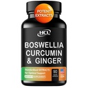 Boswellia Curcumin Ginger Extracts συμπλήρωμα – ισχυρή 95% Curcuminoids φυσικά χάπια υποστήριξης για την κινητικότητα & ευελιξία – επιπλέον δύναμη Boswelia με Turmeric Curcumin Organic Ginger συμπλήρωμα