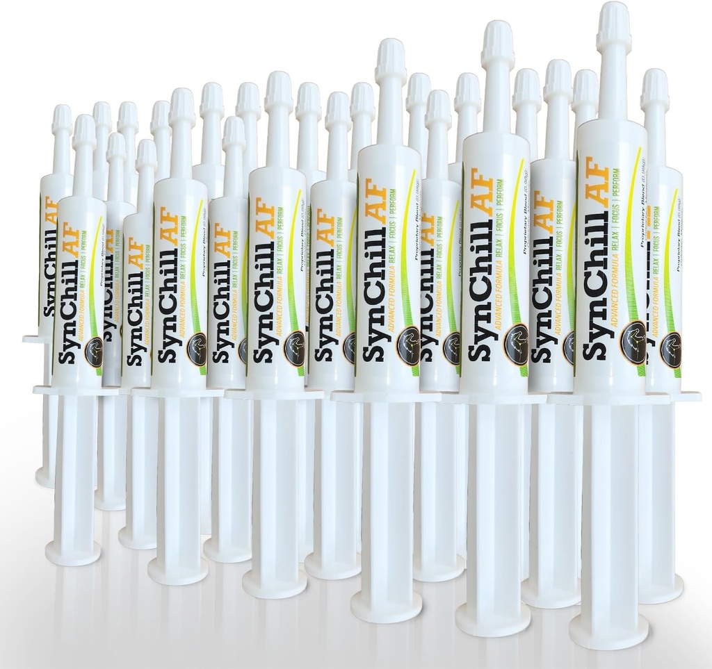 SynChill AF Calming Gel για Νευρικά Άλογα - Single Serving - Προηγμένη Φόρμουλα με L-Θεανίνη, Αυξημένη Ικανότητα, 100% Φυσικό Συμπλήρωμα, Διάθεση & Υποστήριξη Εμπιστοσύνης για Άλογα - 25 Pack