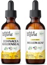 Άγρια & οργανικά Echinacea Goldenseal Βάμμα 2 fl oz & Mullein Βάμμα 2 fl oz