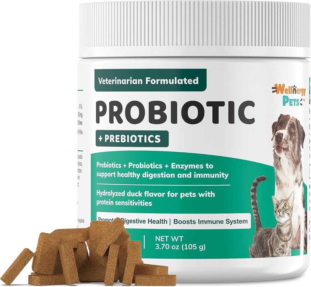 Wellnergy Daily Probiotic & Prebiotics Soft Chew for Dogs & Cats - Digestive Support for Diarrhea, Constipation, Upset Στομάχι, Δυσπεψία & Αέριο - Βοηθά στην Πέψη, Αλλεργία Δέρμα & Ανοσοποιητική Υγεία 70ct