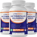 Vitamatic Lactobacillus Salivarius 2 Δισεκατομμύρια ανά DR Κάψουλα - 60 Count - Digestive Support - Made with Prebiotic Inulin Fiber (3 Φιάλες)