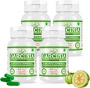 Φυσικό και καθαρό βοτανικό Garcinia CAMBOGIA (Garcinia) Εκχύλισμα κάψουλες 