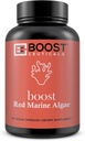 BoostCeuticals Red Marine Algae Gigartina 90 Vegan Κάψουλες Όχι Stearates, Δεν Silica Ανοσολογική Υποστήριξη, Μη-ΓΤΟ, Ορυκτό & Ασβέστιο Πηγή – 3 Μήνες Προμήθεια