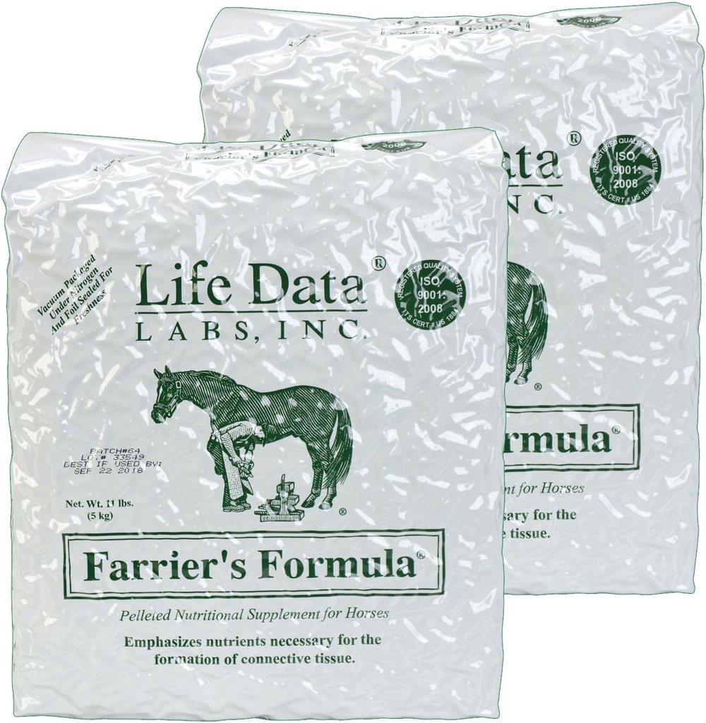 11 lb τσάντα επαναπλήρωσης 2 πακέτο