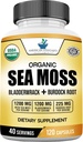 American Standard Συμπληρώματα Βιολογικό Moss Θάλασσα, Bladderwrack & Burdock Κάψουλες Ρίζα - 1200mg Seamoss, 1200mg Bladderwrack, 225mg Burdock Root Per Serving - 120 Κάψουλες, 40 εξυπηρετούν