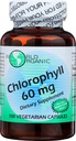 WORLD ORGANIC Chlorophyll 100 mg 60 Capsules, 0.02 Pound