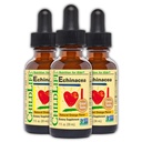 Παιδικά Echinacea Echinacea για παιδιά - Παιδιά Echinacea Drops, Υγρή Βάμμα, Αλκοόλ Δωρεάν συμπλήρωμα για μωρά, Toddlers, Παιδιά - Φυσικό Πορτοκάλι, 1 fl Oz (πακέτο των 3)