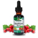 Απάντηση της φύσης Hawthorn μούρα 