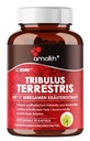Amalth Tribulus Terrsestris, 20:1 Extract Per Serving, Highest Potency with Ashwagandha, Saw Palmetto, Shilajit 120 Κάψουλες