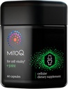 MitoQ + Joint Advanced CoQ10 Antioxidant Supplement - Περιέχει Mitoquinol Mesylate & Green Lipped Mussel Omega Omega Omega Extract - Υποστηρίζει υγιή κοινή, κινητικότητα και κυτταρική ζωτικότητα (60 κάψουλες Softgel)