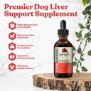 Ancient Pet Liver - Advanced συμπλήρωμα στήριξης ήπατος για σκύλους - Liquid Delivery for Better Absorption - Γαϊδουράγκαθο, Dandelion, Artichoke & More!