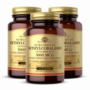 Solgar Methylcobalamin (Vitamin B12) 5000 mcg, 60 ψήγματα (Pack of 3) - Cherry Flavor - Υποστηρίζει την ενέργεια Μεταβολισμός - σώμα έτοιμο, ενεργό μορφή - μη-GMO, Vegan, χωρίς γλουτένη - 180 Σύνολο εξυπηρετήσεις