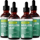 5-σε-1 Mullein Drops for Lungs and Bronchial - Αναπνευστική υποστήριξη για την υγεία των πνευμόνων με εκχύλισμα φύλλων Mullen για τους πνεύμονες - Mullein Tincture with Elderberry, Echinacea and Ginger Root (120 Servings) (4 πακέτο)