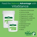 Stance Equitec VitaStance Βιταμίνη, Mineral και Amino Acid Συμπλήρωμα για Άλογα, 28,5 lb