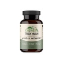 TERRA Origin Healthy Mind and Memory Support Supplement 