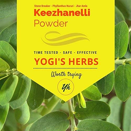 YOGIS HERBS Keezhanelli σκόνη (Phylanthus Niruri) 