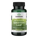 Swanson Spearmint Leaf (Mentha Spicata) - Πλήρες Φάσμα βοτανικό συμπλήρωμα Υποστήριξη Digestive Health & Ήπια Στομαχικά Θέματα - Φυσική Φόρμουλα Υποστήριξη Υγεία & Ευεξία - (60 Κάψουλες, 400mg Καθένα)
