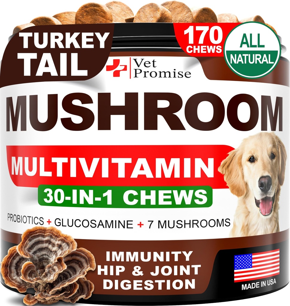 Mushroom for Dogs - 170 Chews - Turkey Tail - Mushroom Supplement for Dogs - Lions Mane - Reishi - Ανοσία Υποστήριξη Πολυβιταμίνες Βιταμίνες - Κοινή Υγεία - Ενέργεια - Ορός - Δέρμα - Κατασκευασμένο στις ΗΠΑ