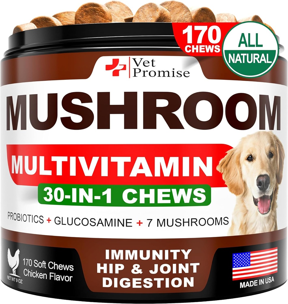 Mushroom for Dogs - 170 Chews - Turkey Tail - Mushroom Supplement for Dogs - Lions Mane - Reishi - Ανοσία Υποστήριξη Πολυβιταμίνες Βιταμίνες - Κοινή Υγεία - Ενέργεια - Ορός - Δέρμα - Κατασκευασμένο στις ΗΠΑ