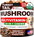 Mushroom for Dogs - 170 Chews - Turkey Tail - Mushroom Supplement for Dogs - Lions Mane - Reishi - Ανοσία Υποστήριξη Πολυβιταμίνες Βιταμίνες - Κοινή Υγεία - Ενέργεια - Ορός - Δέρμα - Κατασκευασμένο στις ΗΠΑ