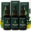 Betterbrand Mullein Lung Detox Drops (3-Pack), 60ml Moulein Leaf Βάμμα με Χλωροφύλλη για την υποστήριξη της αναπνευστικής υγείας - Χωρίς αλκοόλ - 3 Μήνες Προμήθεια