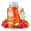 Μια Δόση Παιδικής Ανοσίας Gummies Υποστήριξη - Καθημερινή συμπλήρωμα ανοσοενισχυτής Quercetin Gummies για παιδιά με σύμπλεγμα βιταμίνης Β, βιταμίνη C, ψευδάργυρος, βιταμίνη D, Quercetin Bromelain, Echinacea - 60 Count