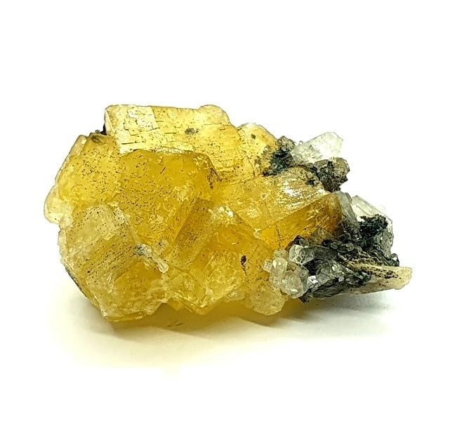 Fluorite el hamman Μαρόκο Μαρόκο Ορυκτά Ορυκτά FLUO07