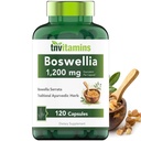 tnvitamins Boswellia Extract Κάψουλες, 120 Count 