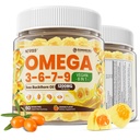Ωμέγα 3-6-7-9 Gummies, Βιολογικό Λάδι Θαλάσσης Buckthorn 1200MG & Έλαιο λιναρόσπορου 500MG, Vegan Omega 7 Συμπλήρωμα w/Vitamin A, C, E, Λιπαρά Οξέα, Δεν Γεύση ψαριών, Υποστηρίζει το δέρμα, το μάτι, ανοσοποιητικό, Εγκεφαλική Υγεία, 60 Cts
