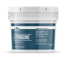 Earthborn Στοιχεία L-Τυροσίνη 1 Gallon Bucket, καθαρό & μη αραιωμένο, Διαιτητικό συμπλήρωμα σκόνη