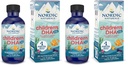 Nordic Naturals Children’s DHA Xtra, Berry Punch - 2 oz for Kids - 880 mg Total Omega-3s with EPA & DHA - Γνωστική & Ανοσολογική Λειτουργία, Μάθηση, Κοινωνική Ανάπτυξη - Μη ΓΤΟ - 48 Services (Pack of 2)