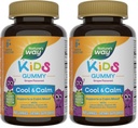 Nature's Way Kids Cool & Calm Gummies,Supports a Calm Mood in Kids Ηλικίες 8+*,Lemon Balm,Magnesium,Vitamin B6,L-Θηανίνη,Γραφείο Γεύση,Βεγεταρικά,(Packing May Vary),40 Count (Pack of 2)