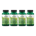 Swanson Colon Helper - Προωθεί Digestive Υγεία Χρησιμοποιώντας Vervain, Goldenseal Root, Slippery Elm Bark & More - Βότανο συμπλήρωμα Βοηθώντας Υγιεινές Αποβολές - (60 κάψουλες) (4 Pack)