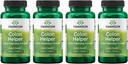 Swanson Colon Helper - Προωθεί Digestive Υγεία Χρησιμοποιώντας Vervain, Goldenseal Root, Slippery Elm Bark & More - Βότανο συμπλήρωμα Βοηθώντας Υγιεινές Αποβολές - (60 κάψουλες) (4 Pack)