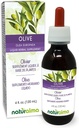 Naturalma Olive (Olea europaea) Leaf Alcohol-Free Tincture - 4 fl oz Liquid Extract in Drops - Βότανο συμπλήρωμα - Vegan