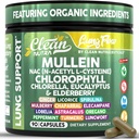 Clean Nutra Mullein Leaf Extract for Lungs Cleanse NAC Supplement Chlorophyll Chlorella Elderberry | Lung Detox for Smokers | Ginger Licorice Astragalus Oregano Turmeric Respiratory Support Capsules