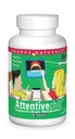 Source Naturals Attentive Child - Healthy Cognitive Nutrients for Active Children - Βελτιωμένη Εστίαση & Προσοχή με DMAE, Μαγνήσιο, Ψευδάργυρο & Σπέρματα Σταφυλής - 60 δισκία