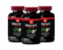 Saw Palmetto for Prostate Wellness - Prostate Support - Pygeum for Prostate Health, Red Raspberry Leaf for Wellness, Graviola Leaf for Cellular Health, Green Tea 3 Bottles 180 Capsules