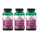 Swanson Green Lipped Mussel (Freeze-Dried) - New Zealand Joint Health & Mobility Supplement - Φυσική Φόρμουλα Μπορεί να υποστηρίξει την καρδιακή υγεία & Digestive λειτουργία - (60 κάψουλες, 500mg έκαστο) (3 Pack)