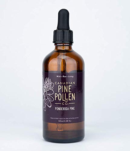 Pine Pollen Tincture - 100% Wild Canadian Ponderosa Pine Pollen 100ml