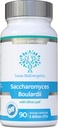 Saccharomyces Boulardii 5 Δισεκατομμύρια CFU 90 κάψουλες - Δεν απαιτείται ψύξη - Υψηλής αντοχής μη χρωματική μαγιά με συνεργιστικό φύλλο ελιάς, βιοτίνη και βιταμίνη D3