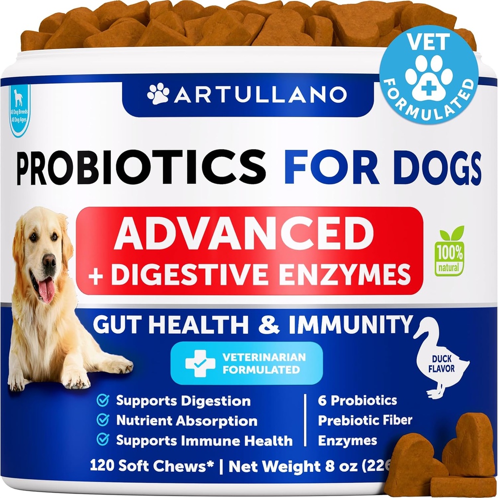 Probiotics for Dogs - Υποστηρίξτε την υγεία των ούρων, Ichy δέρμα, Αλλεργίες, Ανοσία, Ισορροπία της ζύμης - Προβιοτικά σκύλου και Digestive Ένζυμα με τα πρεβιοτικά - Μειώστε τη Διάρροια, Αέριο - 120 Προβιοτικά μάσημα για σκύλους