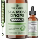 TrueSeaMoss 3000mg Ιρλανδικές θαλάσσιες σταγόνες Μος με Burdock Root & Bladderwrack για Digestive Σύστημα & την αποκατάσταση των μυών Υποστήριξη - 2 Fl Oz Apple NW1